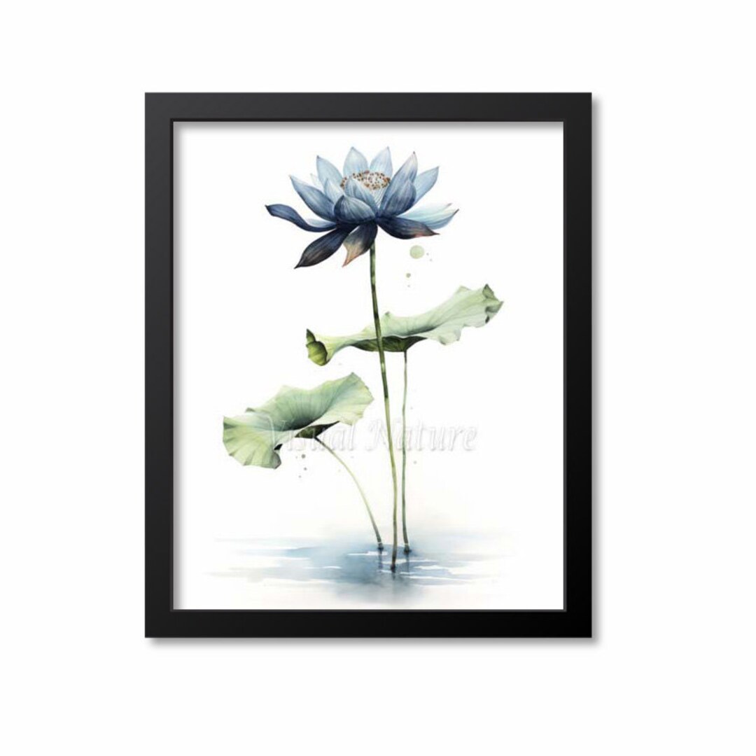 Black Lotus Watercolor Botanical Print, Botanical Art Print, Black