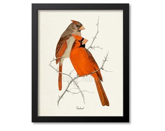 Cardinal Bird Print, Bird Art Print, Bird Art, Red Cardinals, Bird Poster, Floral Art, Garden, red