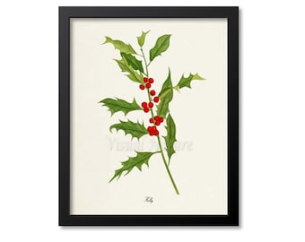 Holly Art Print, Botanical Art Print, Wall Art, Botanical Print, Christmas Holly art print, red berry