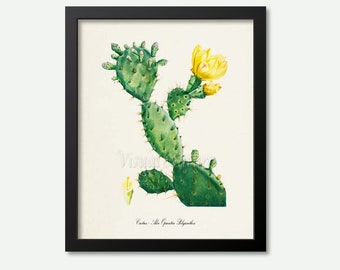 Cactus Art Print, Cactus Botanical Art Print, Aloe Cactus Wall Art, Cactus Botanical Print, Aloe Opuntia Polyanthos