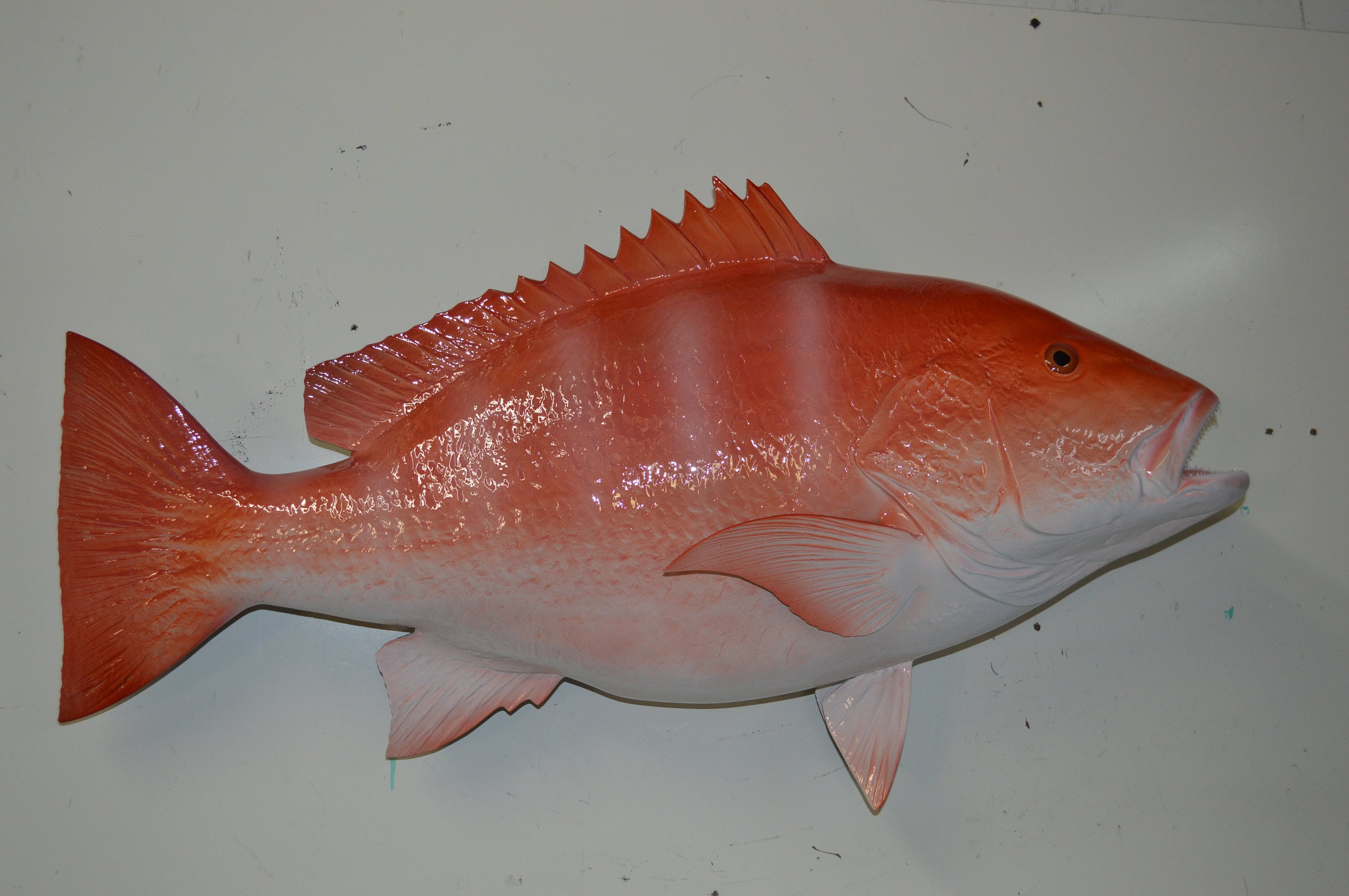 Snapper , Red 33