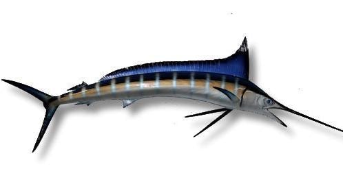 56"Blue Marlin Half-Side Fish Mount