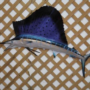 58" sailfish Half Mount