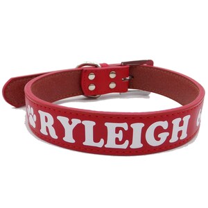 Puede incluir: Collar de perro de cuero rojo con una huella de pata blanca y el nombre "RYLEIGH" impreso en él.