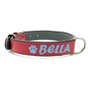 Matte Pink Padded Leather Dog Collar Custom Personalized With Free Name Phone Number ID Safety