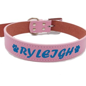 May include: Pink leather dog collar with a silver buckle and the name "RYLEIGH" in blue lettering with paw prints on either side.
