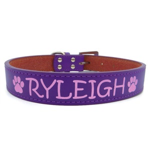 Pode incluir: Coleira de couro roxa para cães com pegadas de patas cor-de-rosa e o nome "RYLEIGH" bordado.