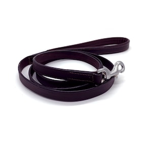 May include: A brown leather dog lead with a silver hook.