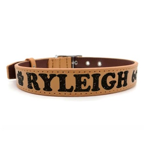 Glitter Tan Custom Personalized Leather Cat Dog Collar With Bling Free Name Phone Number ID