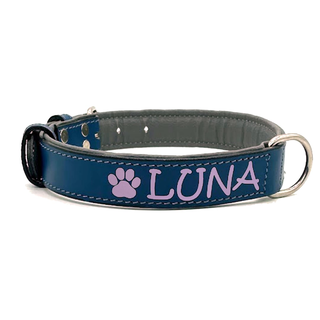 Matte Blue Padded Leather Dog Collar Custom Personalized With Free Name ...
