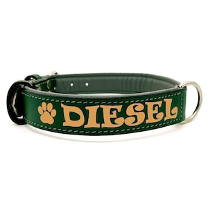 マットグリーンのパッド入りレザー製犬用首輪。名前、電話番号、ID、安全性を無料でカスタマイズ可能。