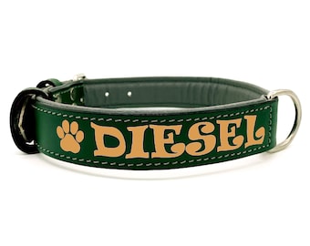 Collar para perro de cuero acolchado verde mate, personalizado con nombre, número de teléfono e identificación gratuitos. Seguridad garantizada.