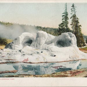 WYOMING lot of 5 Vintage postcards, YELLOWSTONE PARK Unused...(lot208)