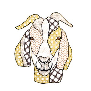 Könnte beinhalten: Eine Nahaufnahme eines Ziegenkopfes mit einem gelben, orangefarbenen und braunen Muster. Die Ziege hat ein weißes Gesicht mit braunen Augen und einer schwarzen Nase.