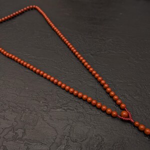 May include: A long necklace composed of numerous small, round, terracotta-colored beads strung together. The beads are uniform in size, except for a slightly larger bead positioned near the bottom, where the strand terminates in a short, dangling tail.