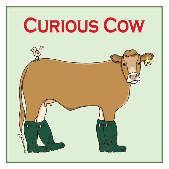 Range Curious Cow limousin Farm Animal 