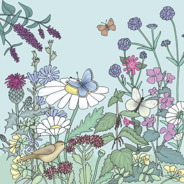 Flora & Fauna - Willow Warbler and Butterflies greeting card / butterfly/ wildflowers/ blank card/ any occasion/ by Emma Lawrence Designs.