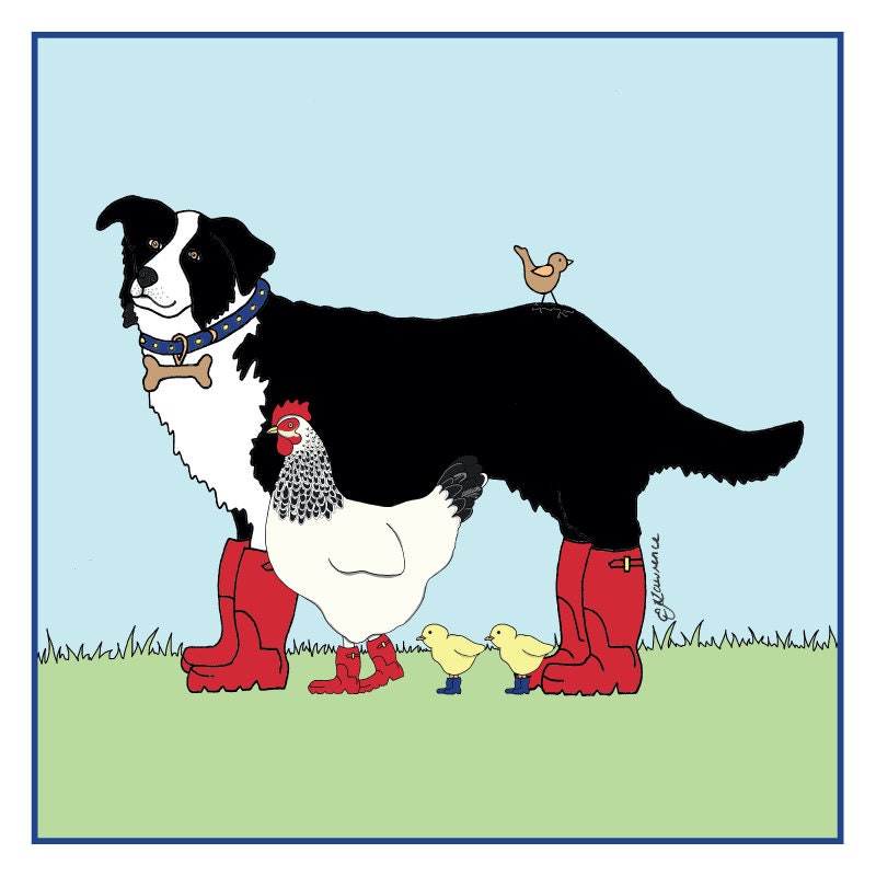 border collie wellies