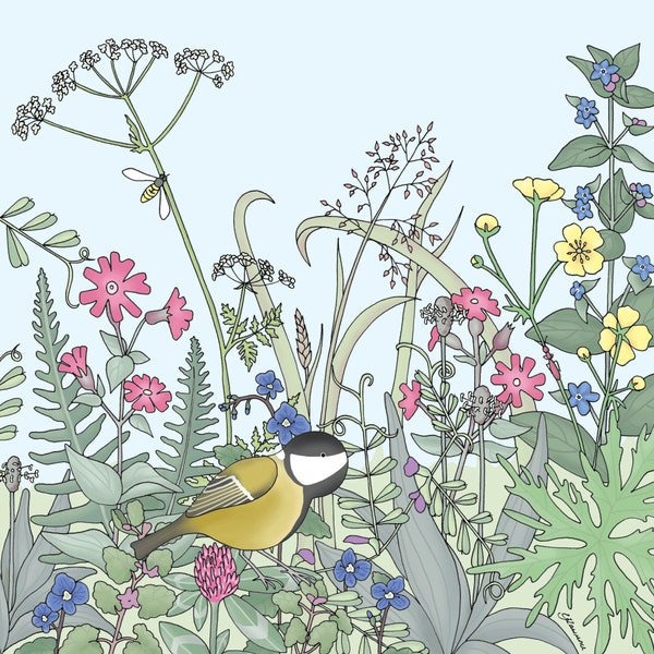 Flora & Fauna - Great Tit and Wildflowers greeting card / blank card/ any occasion/ by Emma Lawrence Designs.