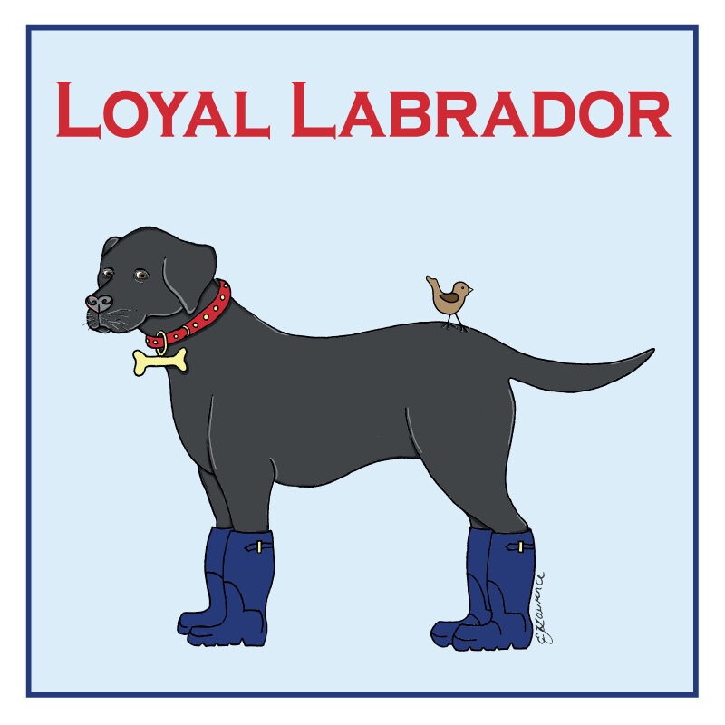 labrador wellies