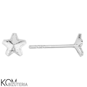 Pode incluir: Um par de brincos de estrela prateados. Um brinco é uma estrela, o outro é o pino. Os brincos são exibidos em um fundo branco. Os brincos são pequenos e delicados.