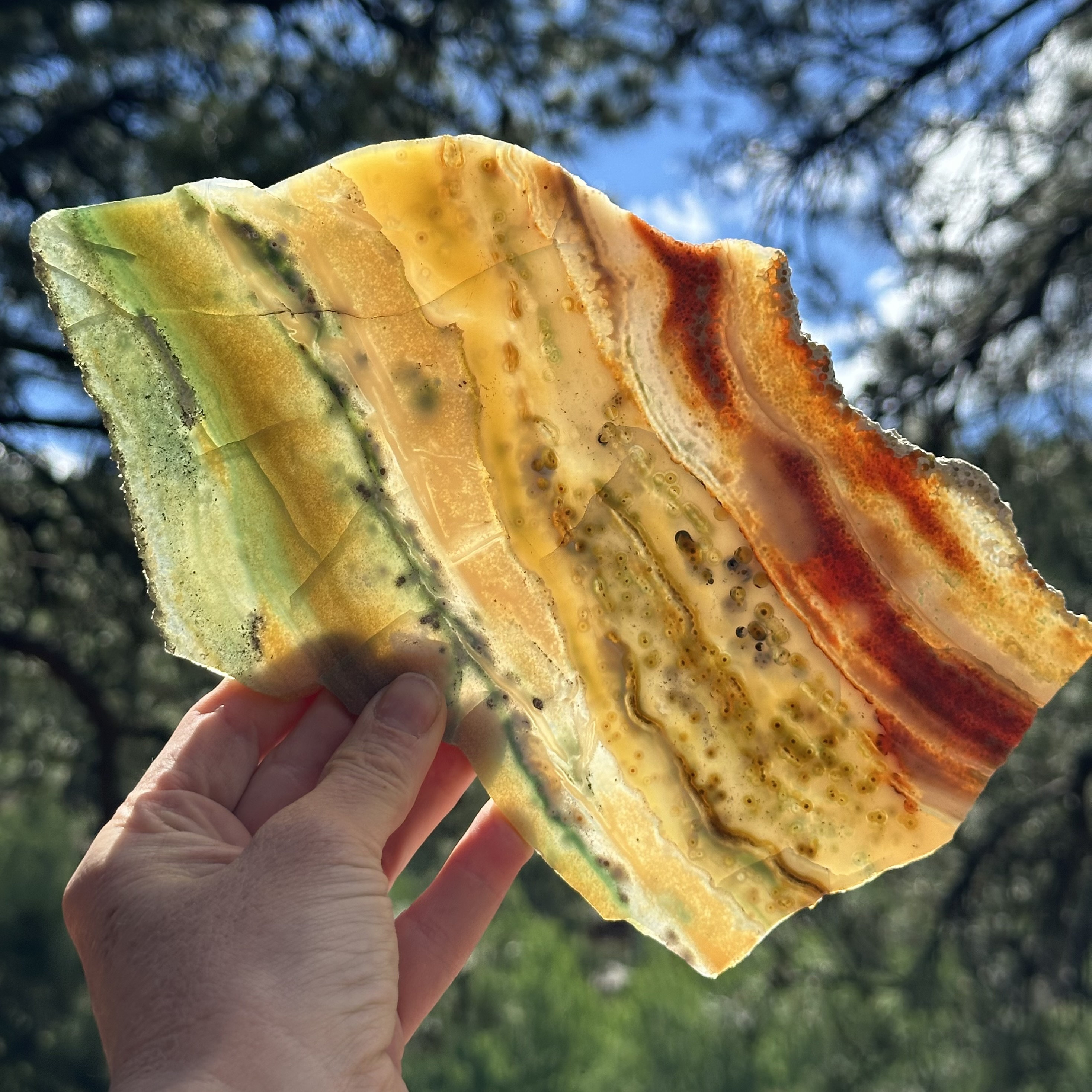 オールドストック オーシャンジャスパー スラブ - 鉱脈 1 または 2