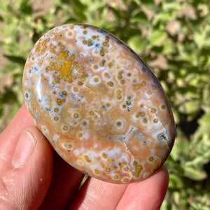 8th Vein Ocean Jasper Palm Stone