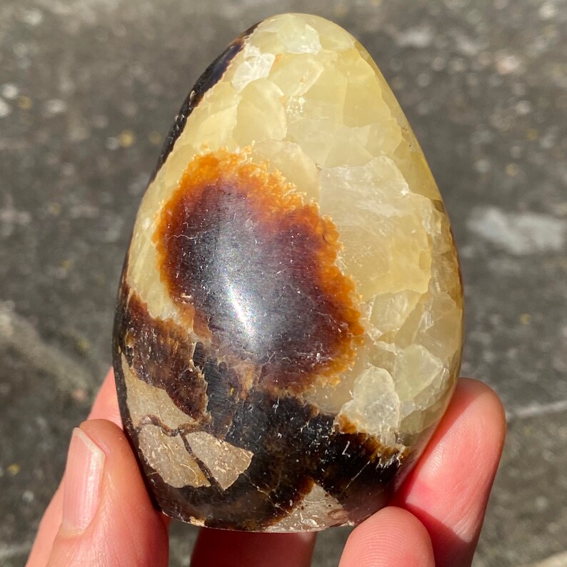 Septarian Dragon Stone Standing Freeform
