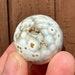 see more listings in the Ocean Jasper section