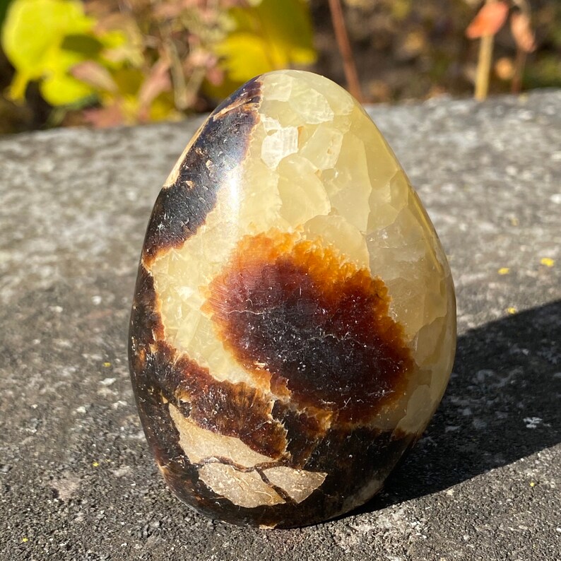 Septarian Dragon Stone Standing Freeform