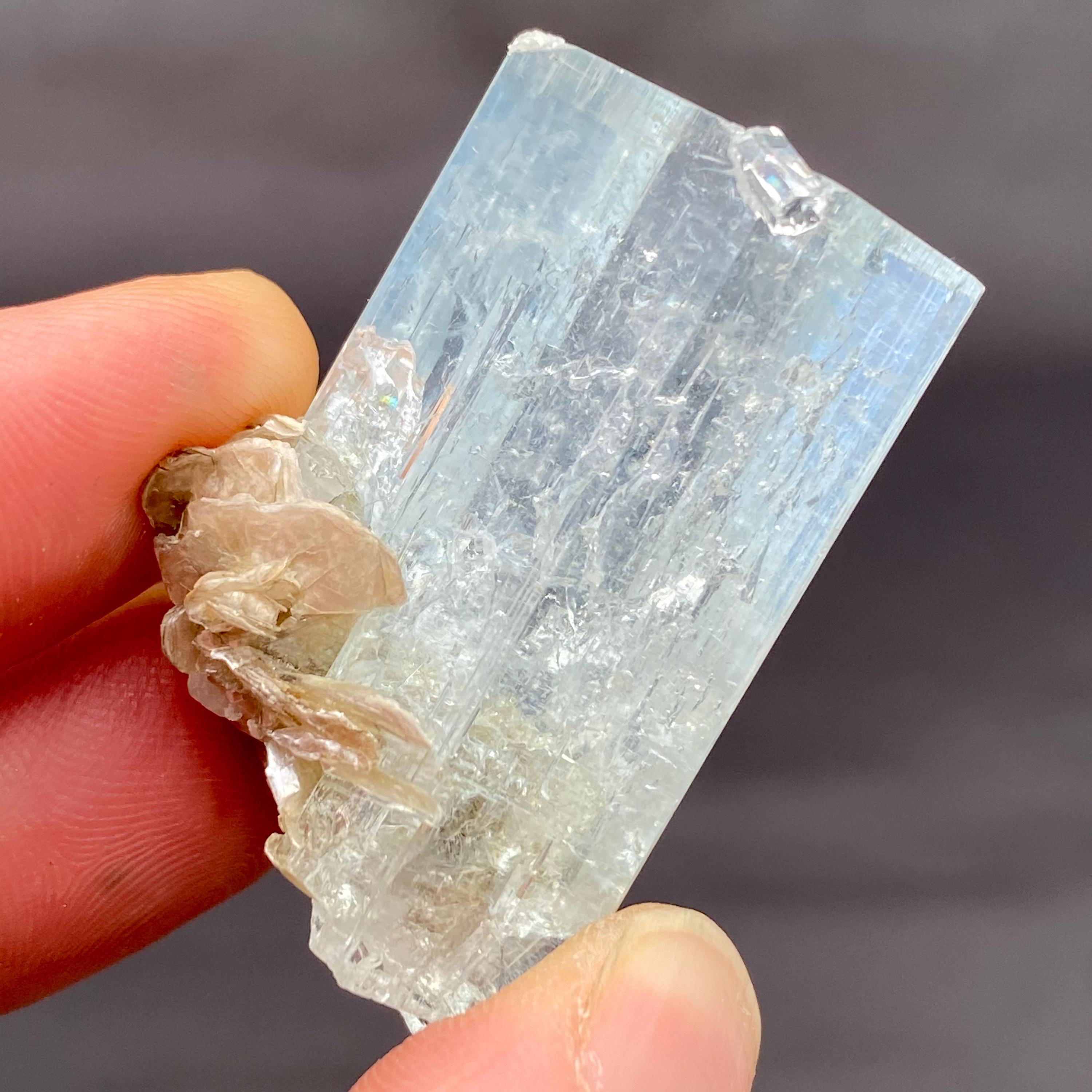 アクアマリン×モスコバイト共生標本-8 【公式通販】 アクアマリン