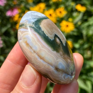 8th Vein Ocean Jasper Palm Stone image 3