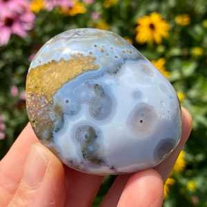 8th Vein Ocean Jasper Palm Stone