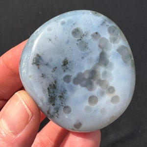 8th Vein Ocean Jasper Palm Stone