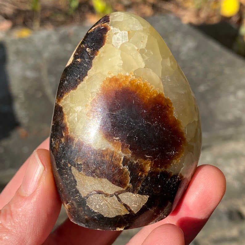 Septarian Dragon Stone Standing Freeform