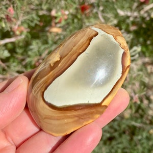 Polychrome Jasper Chunk: Polished Face, Rough Back - Madagascar