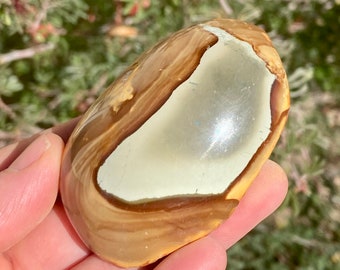 Polychrome Jasper One Side Polished Chunk - One Side Rough