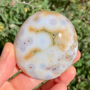 8th Vein Ocean Jasper Palm Stone