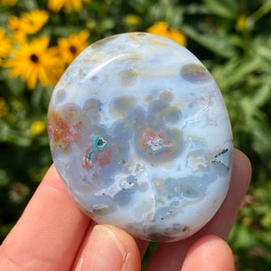 8th Vein Ocean Jasper Palm Stone