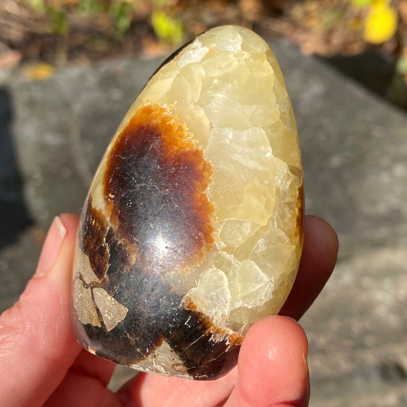 Septarian Dragon Stone Standing Freeform