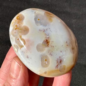 8th Vein Ocean Jasper Palm Stone