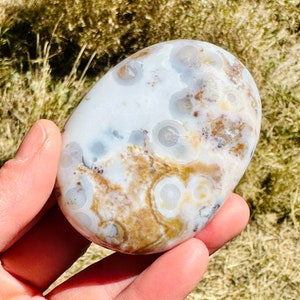 8th Vein Ocean Jasper Palm Stone