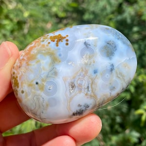 8th Vein Ocean Jasper Palm Stone