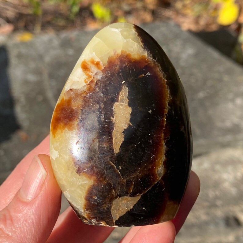 Septarian Dragon Stone Standing Freeform