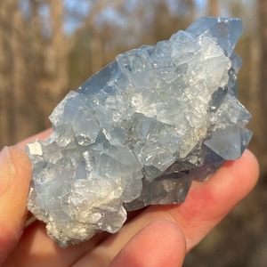 Madagascar Celestite Cluster: 4 oz Healing Crystal