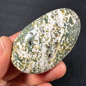 Ocean Jasper Palm Stone - Old Stock - Orbicular Jasper - Madagascar