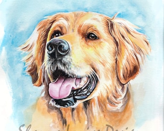 Golden Retriever Pet Portrait