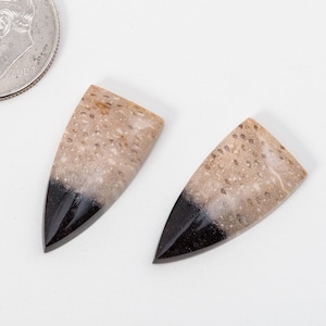 May include: Two teardrop-shaped cabochons of fossilized wood with a black and white color scheme. The top half of each cabochon is a light brown with white speckles, and the bottom half is black.
