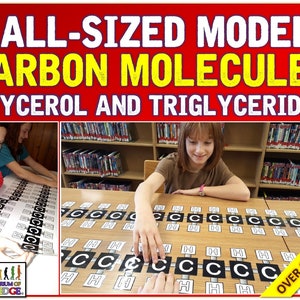 May include: A classroom scene with students interacting with large-format models of carbon molecules. The models are labeled with chemical symbols. The text on the image reads "WALL-SIZED MODELS CARBON MOLECULES GLYCEROL AND TRIGLYCERIDES".