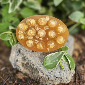 May include: A round, brown soap bar with a textured surface. The soap has small, clear bubbles embedded in it and is covered in small, light brown flakes.